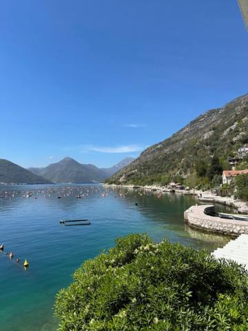 Aquazzura Apartamento Kotor Exterior foto